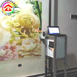 雙噴頭高清3d墻體彩繪機戶外噴繪背景墻壁畫打印機