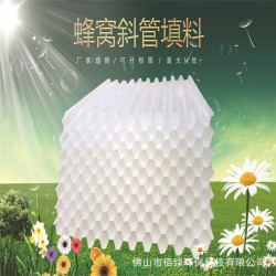 供應(yīng)六角蜂窩斜管填料 自來(lái)水處理沉淀池斜管填料電廠(chǎng)污水廠(chǎng)