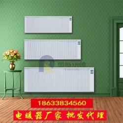 濟(jì)南智能家用碳纖維電暖器 壁掛式可移動(dòng)式電取暖器 廠家直銷(xiāo)